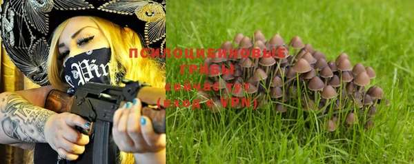 не бодяженный Абаза