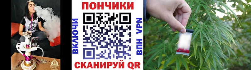 Бошки Шишки THC 21%  продажа наркотиков  Полярный 